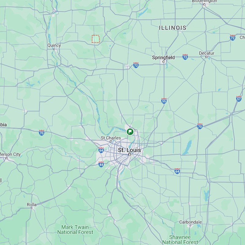 section image